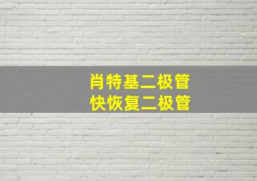 肖特基二极管 快恢复二极管